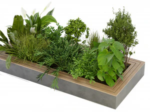 Collection Plant Vol 313 - Blender Model 3D Model