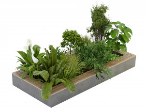 Collection Plant Vol 313 - Blender Model 3D Model