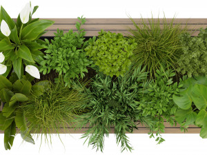 Collection Plant Vol 313 - Blender Model Model 3D