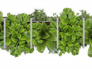 Collection Plant Vol 311 - Blender Model 3D मॉडल