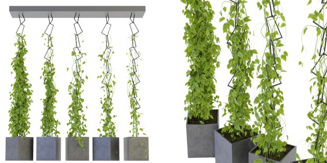 Collection Plant Vol 314 - Blender Model Model 3D .c4d .max .obj .3ds .fbx .stl .blend 