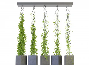 Collection Plant Vol 314 - Blender Model 3D Model