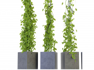 Collection Plant Vol 314 - Blender Model Model 3D