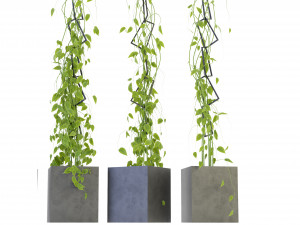 Collection Plant Vol 314 - Blender Model Model 3D
