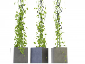Collection Plant Vol 314 - Blender Model 3D Model