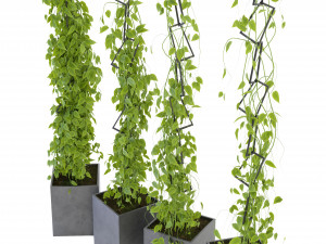 Collection Plant Vol 314 - Blender Model Model 3D
