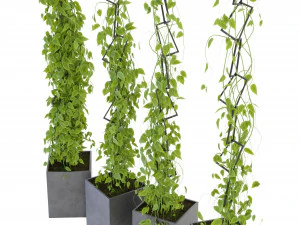 Collection Plant Vol 314 - Blender Model 3D Model