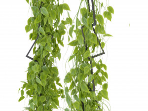 Collection Plant Vol 314 - Blender Model Model 3D