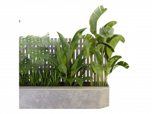 Collection Plant Vol 317 - Blender Model Model 3D