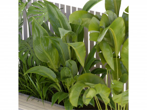 Collection Plant Vol 317 - Blender Model Model 3D