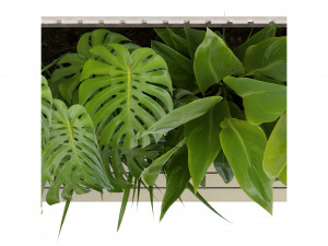 Collection Plant Vol 317 - Blender Model Model 3D