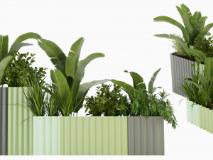 Collection Plant Vol 318 - Blender Model 3D Model