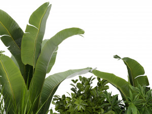 Collection Plant Vol 318 - Blender Model 3D Model