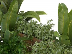 Collection Plant Vol 319 - Blender Model 3Dモデル