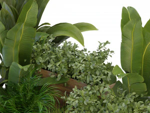 Collection Plant Vol 319 - Blender Model 3D Model