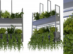 कलेक्शन प्लांट वॉल्यूम 330 - ब्लेंडर मॉडल 3D मॉडल