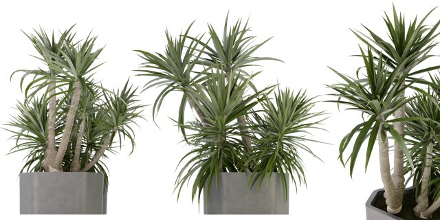 Collection Plant Vol 321 - Blender Model Model 3D .c4d .max .obj .3ds .fbx .stl .blend 