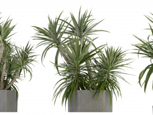 Collection Plant Vol 321 - Blender Model 3D Model