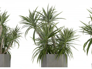 Collection Plant Vol 321 &ndash; Blender-Modell 3D Modell