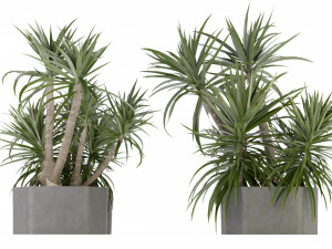 Collection Plant Vol 321 - Blender Model Model 3D