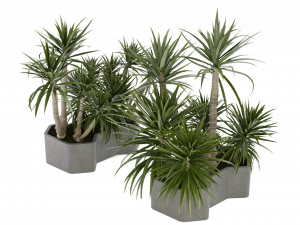 Collection Plant Vol 321 - Blender Model Model 3D