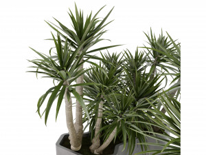 Collection Plant Vol 321 - Blender Model Model 3D