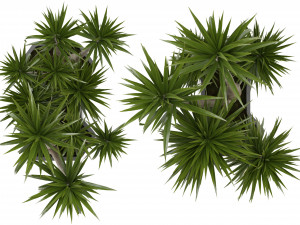 Collection Plant Vol 321 - Blender Model Model 3D