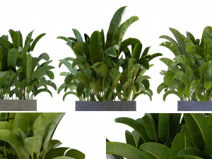Collection Plant Vol 322 - Blender Model 3D Model
