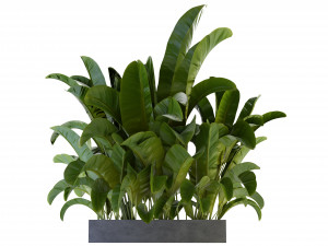 Collection Plant Vol 322 - Blender Model 3D Model