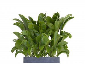 Collection Plant Vol 322 - Blender Model 3D Model