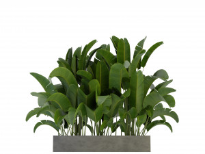 Collection Plant Vol 322 - Blender Model 3D Model