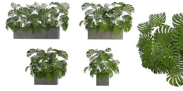 Collection Plant Vol 323 - Blender Model Modello 3D .c4d .max .obj .3ds .fbx .stl .blend 
