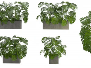 Collection Plant Vol 323 - Blender Model 3D Model