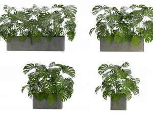 Collection Plant Vol 323 - Blender Model 3D Model