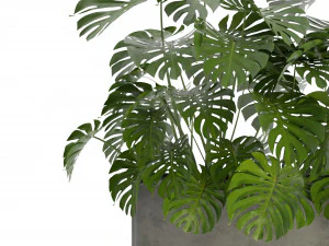Collection Plant Vol 323 - Blender Model 3D Model
