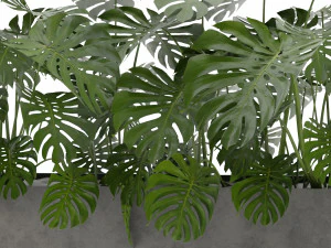 Collection Plant Vol 323 - Blender Model 3D Model