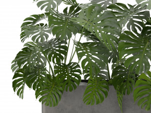 Collection Plant Vol 323 - Blender Model Modello 3D