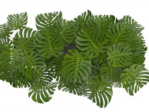 Collection Plant Vol 323 - Blender Model 3D Model