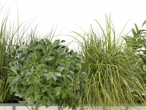 Collection Plant Vol 324 - Blender Model Model 3D