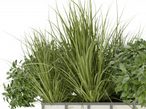 Collection Plant Vol 324 - Blender Model Model 3D