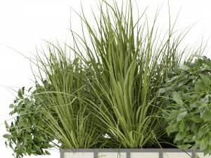 Collection Plant Vol 324 - Blender Model 3D Model