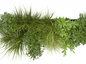 Collection Plant Vol 324 - Blender Model Model 3D