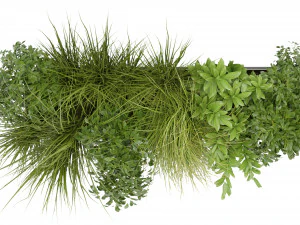 Collection Plant Vol 324 - Blender Model 3D Model