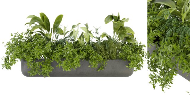 Collection Plant Vol 325 - Blender Model 3Dモデル .c4d .max .obj .3ds .fbx .stl .blend 