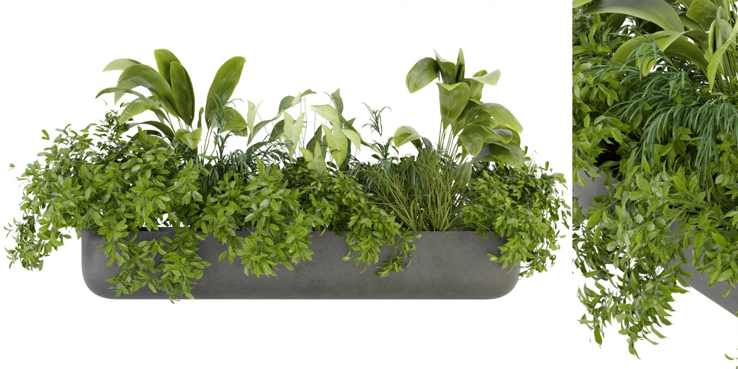 Collection Plant Vol 325 - Blender Model 3D Model .c4d .max .obj .3ds .fbx .stl .blend 