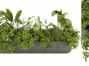 Collection Plant Vol 325 - Blender Model Model 3D