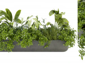 Cole&ccedil;&atilde;o Planta Vol 325 - Modelo Liquidificador Modelo 3D