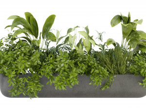 Collection Plant Vol 325 - Blender Model 3Dモデル