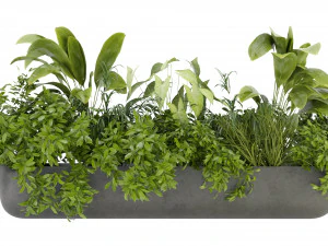 Collection Plant Vol 325 - Blender Model 3D Model