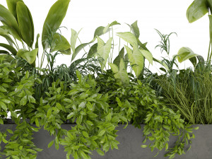 Collection Plant Vol 325 - Blender Model 3Dモデル